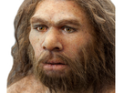 https://image.noelshack.com/fichiers/2019/49/4/1575548319-neanderthal-decu.jpg