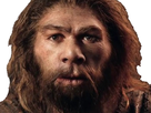 https://image.noelshack.com/fichiers/2019/49/4/1575548922-neanderthal-face.jpg