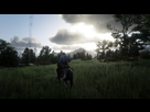 https://image.noelshack.com/fichiers/2019/49/4/1575550266-red-dead-redemption-ii-screenshot-2019-11-14-17-48-50-97.jpg