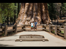 https://image.noelshack.com/fichiers/2019/49/7/1575828981-general-sherman-sequoia-1129x752-jpg-optimal.jpg