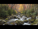 https://image.noelshack.com/fichiers/2019/49/7/1575829229-big-creek-area-in-great-smoky-mountains-national-park-crop-1-000-0-810-0-0-140-r5.jpg