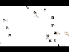 https://image.noelshack.com/fichiers/2019/50/2/1575939600-animated-gif-downsized-large.gif