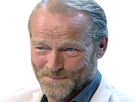 https://image.noelshack.com/fichiers/2019/50/2/1576001811-iainglen.png