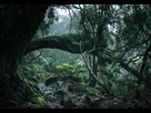 https://image.noelshack.com/fichiers/2019/50/5/1576250971-quand-la-nature-envahit-tout-la-reunion.jpg