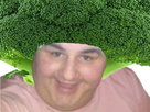 https://image.noelshack.com/fichiers/2019/50/6/1576281259-salade-4.jpg