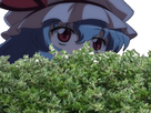 https://www.noelshack.com/2019-51-2-1576605470-remilia-buisson.gif