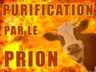 https://image.noelshack.com/fichiers/2019/51/4/1576771380-prion.png