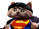 https://image.noelshack.com/fichiers/2019/51/4/1576782011-tu-croyais-quoi.jpg
