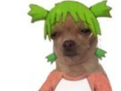 https://image.noelshack.com/fichiers/2019/51/5/1576841604-chien-yotsuba.png