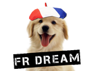 https://image.noelshack.com/fichiers/2019/51/6/1576889790-frenchdreamsticker2.png