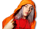 https://image.noelshack.com/fichiers/2019/51/6/1576947428-billieeilish5.png