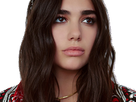 https://image.noelshack.com/fichiers/2019/51/6/1576963451-dualipa4.png