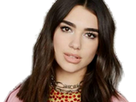 https://image.noelshack.com/fichiers/2019/51/6/1576963627-dualipa15.png