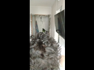 https://image.noelshack.com/fichiers/2019/51/7/1577013368-snapchat-1093969754.jpg