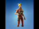 https://image.noelshack.com/fichiers/2019/51/7/1577032055-fortnite-outfit-catastrophe.jpg