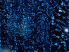 https://image.noelshack.com/fichiers/2019/52/2/1577206006-18-24.jpg