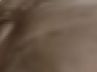 https://image.noelshack.com/fichiers/2019/52/2/1577226862-12-je4i8d1g.png