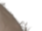https://image.noelshack.com/fichiers/2019/52/2/1577226862-14-je4i8d1g.png