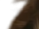 https://image.noelshack.com/fichiers/2019/52/2/1577226865-66-je4i8d1g.png