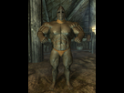 https://image.noelshack.com/fichiers/2019/52/4/1577372205-guards-thumb-jpg-74b0197e6a9db040c4931b5e1d2dba61.jpg