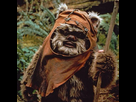 https://image.noelshack.com/fichiers/2020/02/2/1578429721-ewok.jpeg