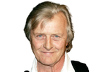 https://image.noelshack.com/fichiers/2020/02/5/1578643019-rutgerhauer1.png