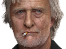 https://image.noelshack.com/fichiers/2020/02/5/1578643074-rutgerhauer2.png