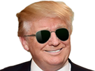 https://image.noelshack.com/fichiers/2020/02/6/1578764629-trumpsunglasses.png