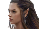 https://image.noelshack.com/fichiers/2020/03/1/1578872215-elf.png