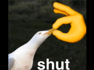 https://image.noelshack.com/fichiers/2020/03/1/1578913370-bf9b6185-74e3-4bae-acf6-9eff87164e0b.jpeg
