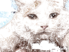 https://image.noelshack.com/minis/2020/03/2/1579015275-zyy0vv.png
