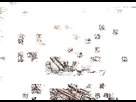https://image.noelshack.com/minis/2020/03/3/1579049077-l7dpww.png