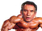 https://image.noelshack.com/fichiers/2020/03/4/1579187595-bayrou-1m97.png