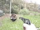 https://image.noelshack.com/minis/2020/03/5/1579301647-gvxzy8.png