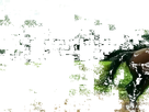 https://image.noelshack.com/minis/2020/03/6/1579306488-k8kx8x.png