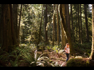 https://image.noelshack.com/fichiers/2020/03/7/1579428858-olympic-national-park-trees.jpg