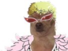 https://image.noelshack.com/fichiers/2020/03/7/1579453563-chien-doflamingo.png