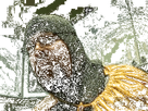 https://image.noelshack.com/minis/2020/04/1/1579526856-jzmm64.png