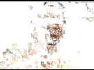 https://image.noelshack.com/minis/2020/04/1/1579528975-1wqqmm.png