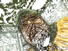 https://image.noelshack.com/minis/2020/04/1/1579529441-3qvv0r.png