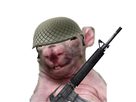 https://image.noelshack.com/fichiers/2020/04/3/1579725690-rat-soldat.jpg