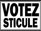 https://image.noelshack.com/fichiers/2020/04/4/1579808415-votez-sticule-by-roon1305-d9it0nc-fullview.jpg