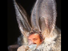 https://image.noelshack.com/fichiers/2020/04/6/1579954528-chauve.jpg