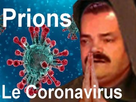 https://image.noelshack.com/fichiers/2020/04/6/1579990324-prions-le-coronavirus.jpg