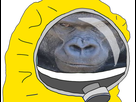 https://image.noelshack.com/minis/2020/05/2/1580175682-gorillasamacoronavirus.png