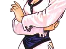 https://image.noelshack.com/fichiers/2020/05/2/1580247962-sh2.png