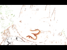https://image.noelshack.com/fichiers/2020/05/3/1580281946-2684eca7-07dd-4de0-8ca2-46c9c0e7a2a3.gif