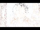 https://image.noelshack.com/fichiers/2020/05/3/1580281981-5bfd497c-e541-4433-8cdb-213dcdd678e9.gif