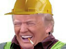 https://image.noelshack.com/fichiers/2020/05/3/1580315439-trump-chantier.jpg