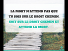 https://image.noelshack.com/fichiers/2020/05/5/1580505409-arton11489.jpg